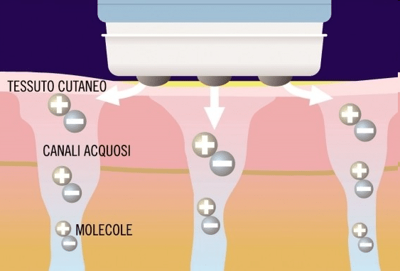 scalp-electroporation-sep
